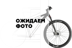 Велогибрид VOLTECO BAD DUAL NEW (2023)
