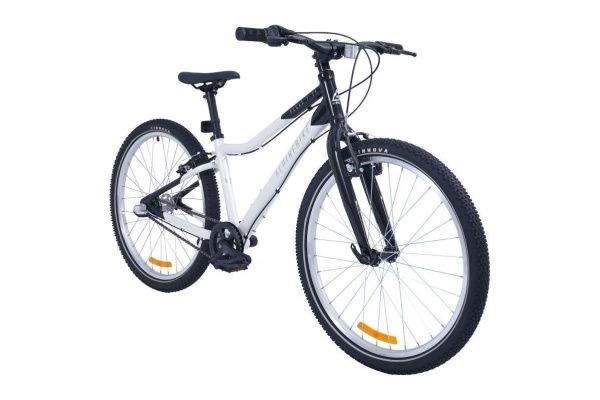 Велосипед Alpinebike Pegas 3-24 (2025)